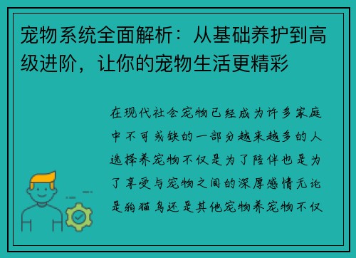 宠物系统全面解析：从基础养护到高级进阶，让你的宠物生活更精彩